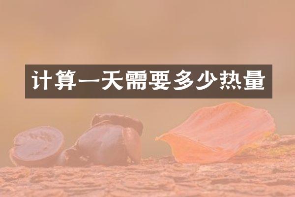 计算一天需要多少热量