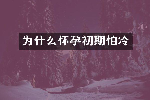 为什么怀孕初期怕冷