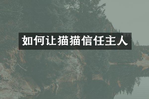 如何让猫猫信任主人