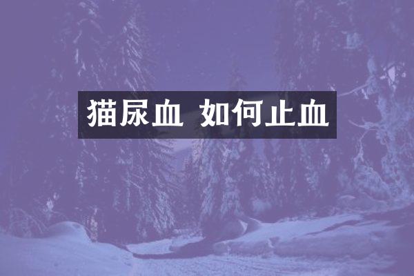 猫尿血 如何止血