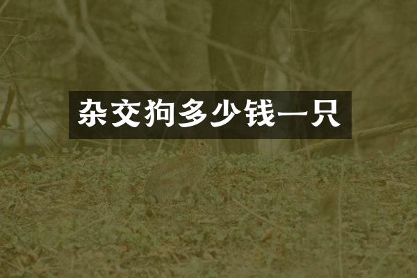 杂交狗多少钱一只
