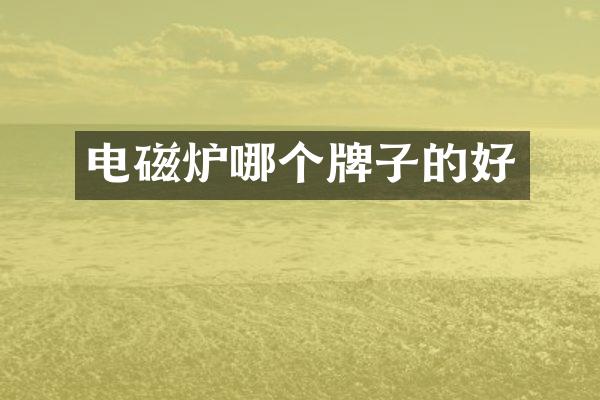 电磁炉哪个牌子的好