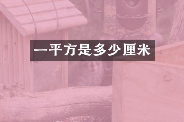 一平方是多少厘米