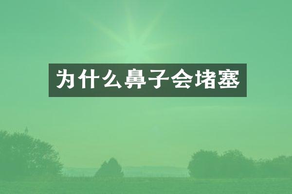 为什么鼻子会堵塞