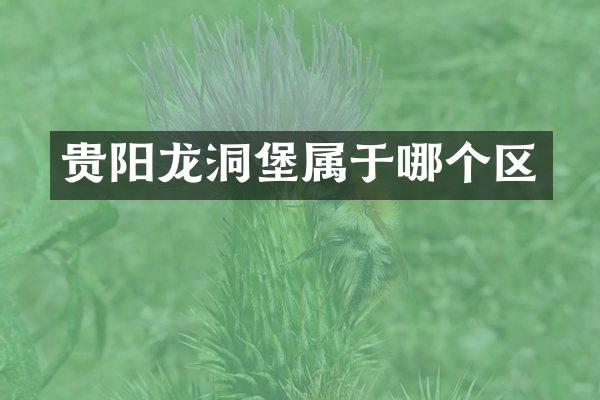 贵阳龙洞堡属于哪个区
