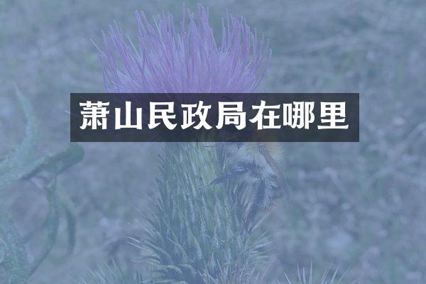 萧山民政局在哪里