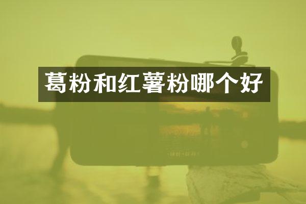 葛粉和红薯粉哪个好