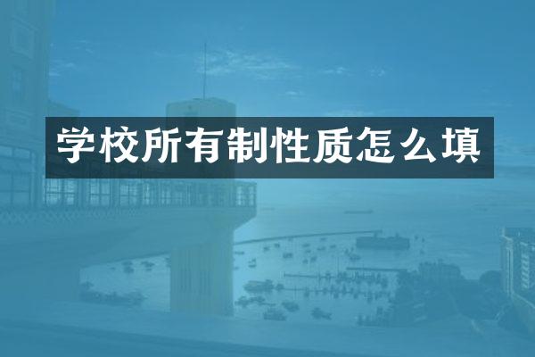 学校所有制性质怎么填