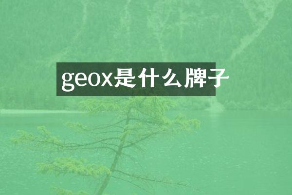 geox是什么牌子