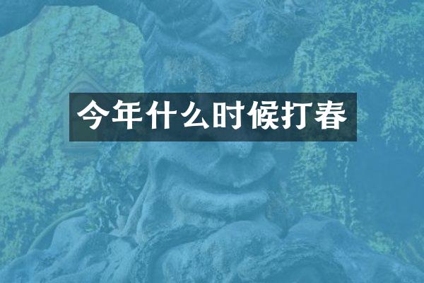 今年什么时候打春