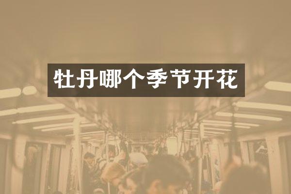 牡丹哪个季节开花