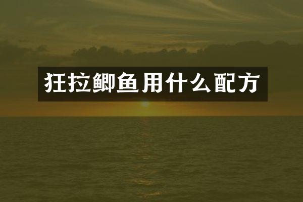 狂拉鲫鱼用什么