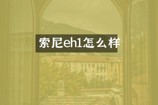 索尼eh1怎么样