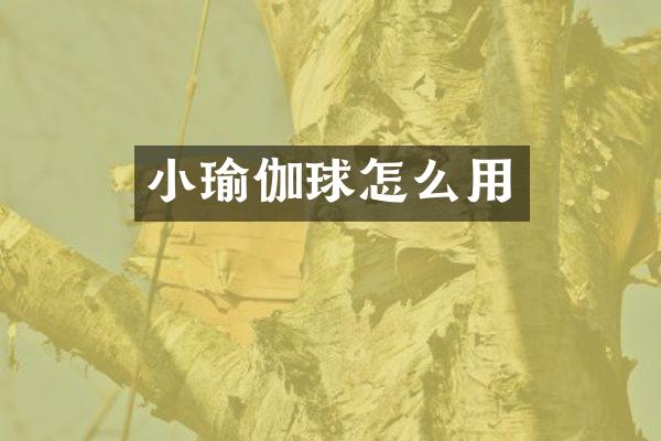 小瑜伽球怎么用