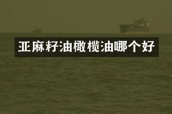 亚麻籽油橄榄油哪个好