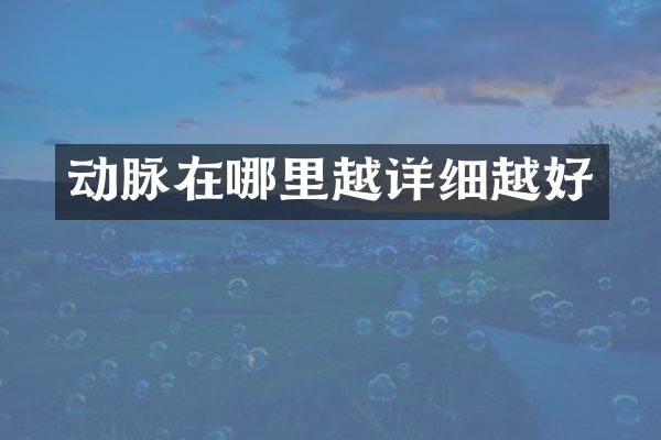 动脉在哪里越详细越好
