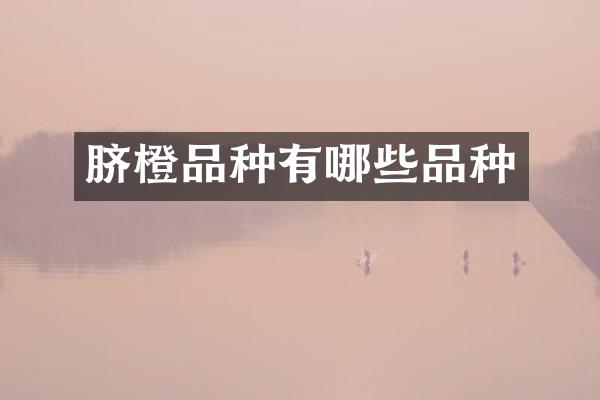脐橙品种有哪些品种