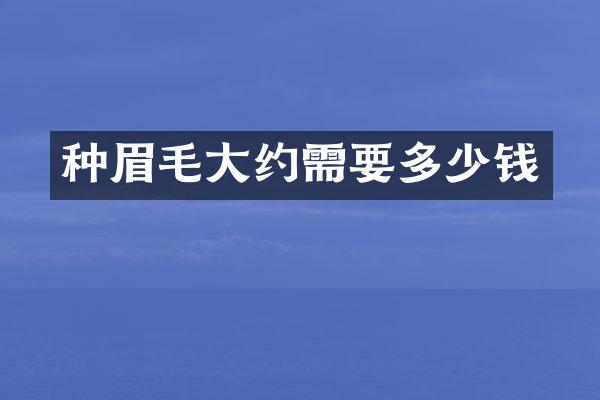 种眉毛大约需要多少钱