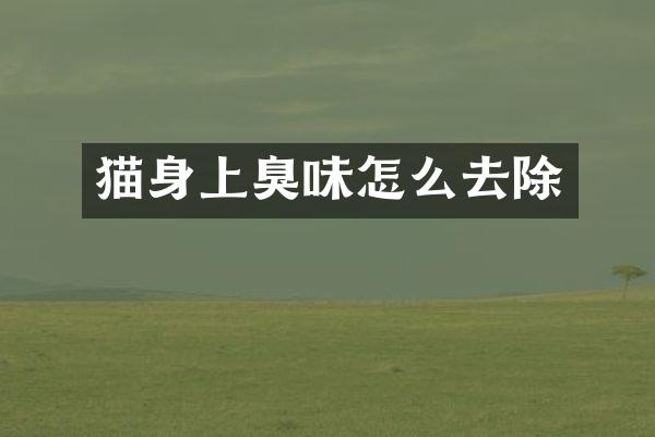 猫身上臭味怎么去除