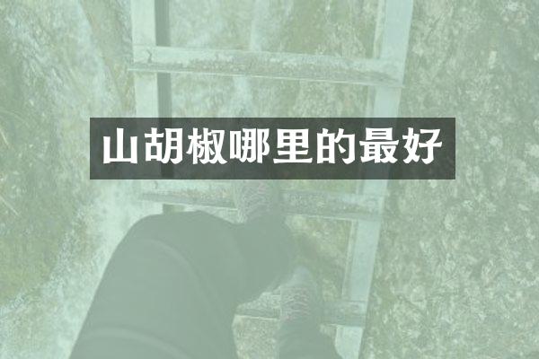 山胡椒哪里的最好