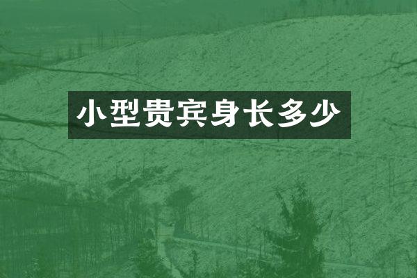 小型贵宾身长多少