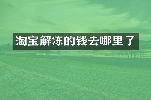 淘宝解冻的钱去哪里了