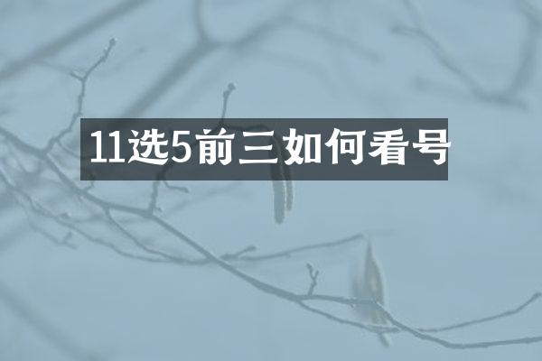 11选5前三如何看号