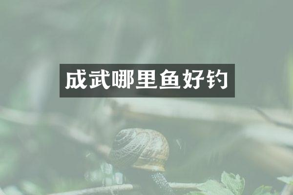 成武哪里鱼好钓