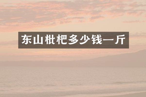 东山枇杷多少钱一斤