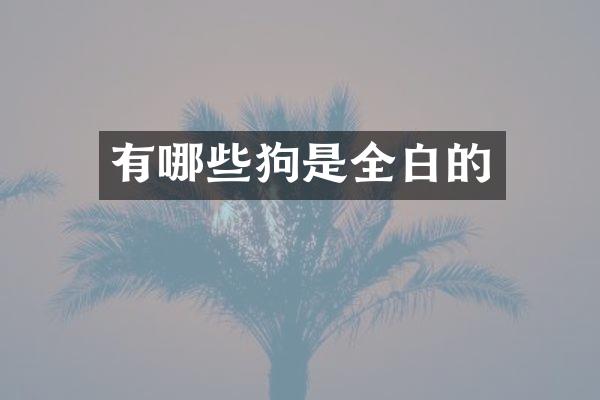 有哪些狗是全白的