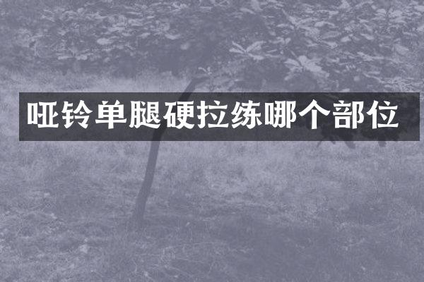 哑铃单腿硬拉练哪个部位