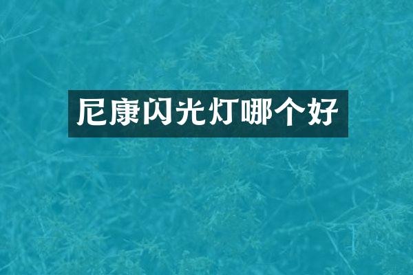 尼康闪光灯哪个好