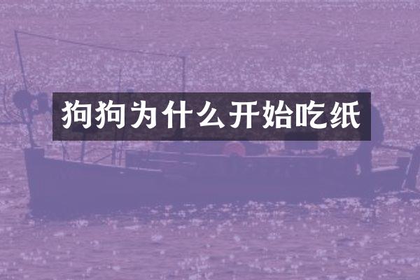 狗狗为什么开始吃纸