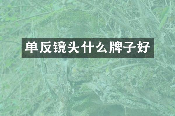 单反镜头什么牌子好