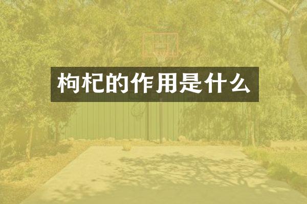 枸杞的作用是什么