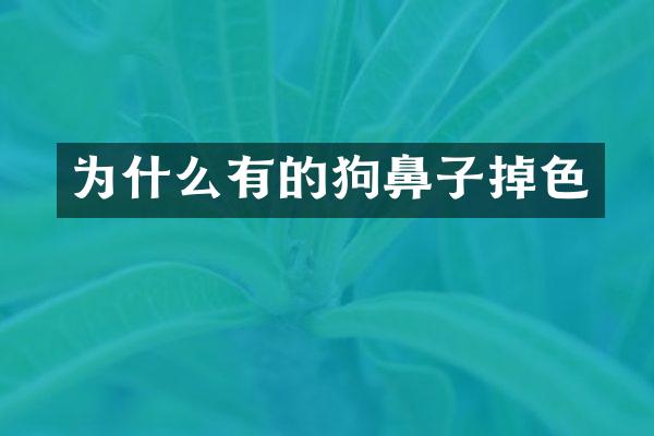 为什么有的狗鼻子掉色