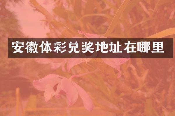 安徽体彩兑奖地址在哪里