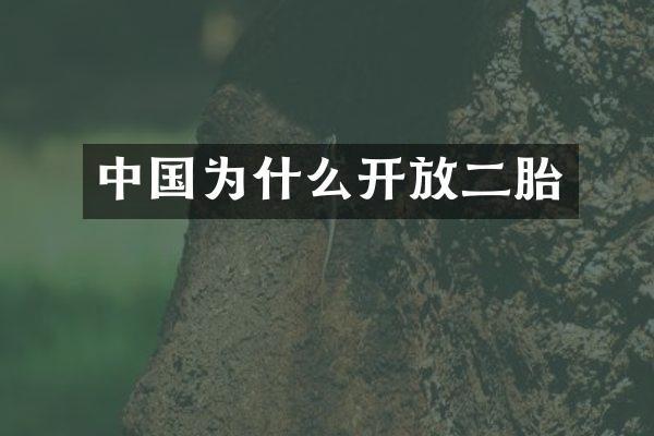 中国为什么开放二胎