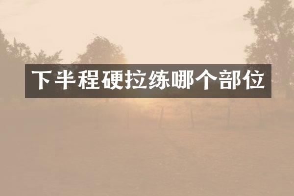 下半程硬拉练哪个部位