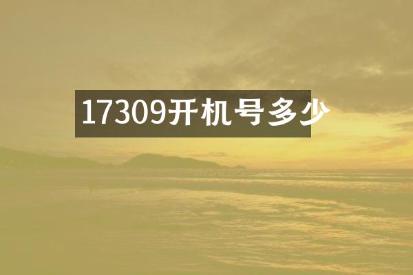 17309开机号多少