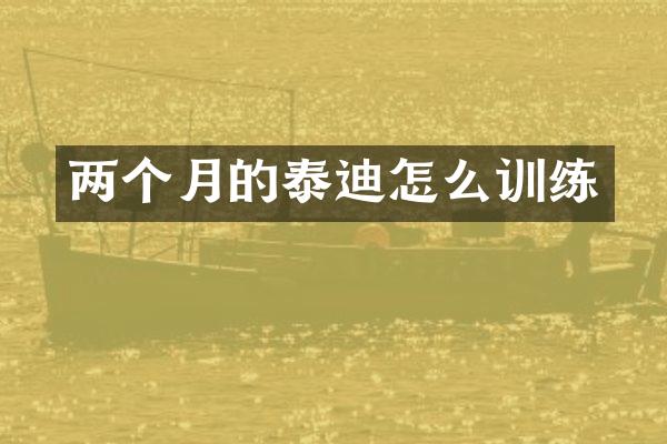 两个月的泰迪怎么训练