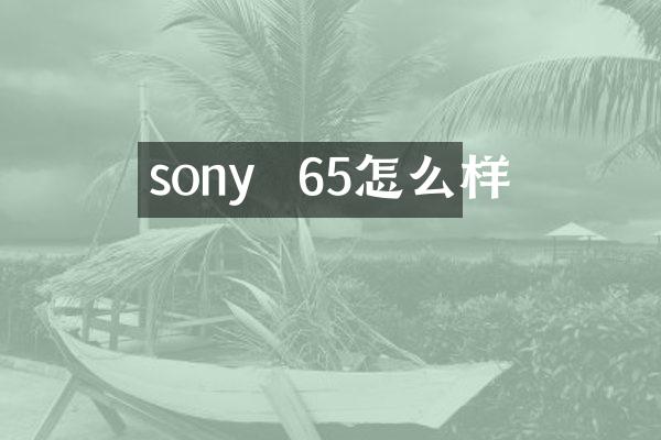 sony  65怎么样