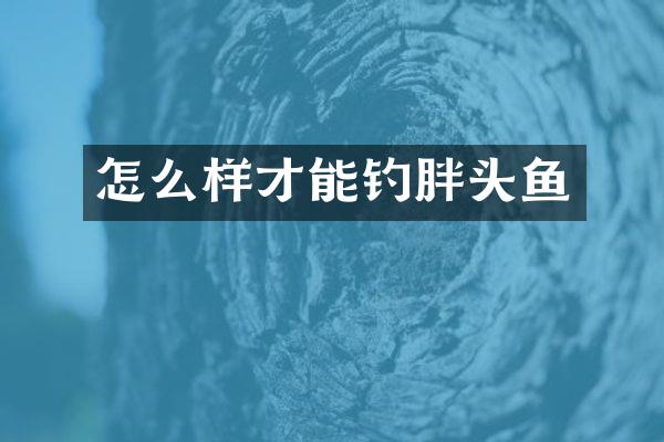 怎么样才能钓胖头鱼