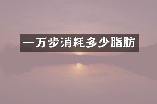 一万步消耗多少脂肪