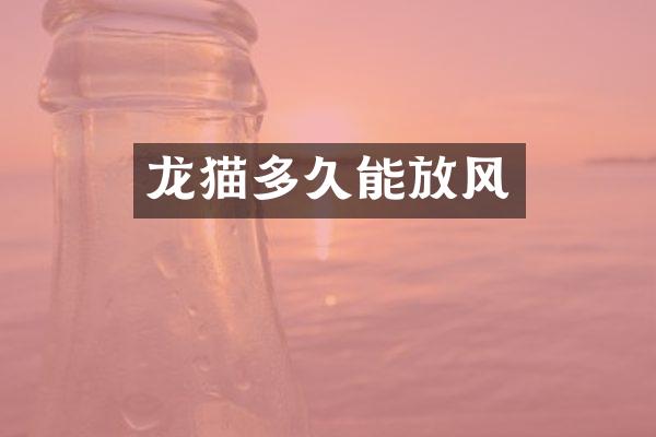 龙猫多久能放风
