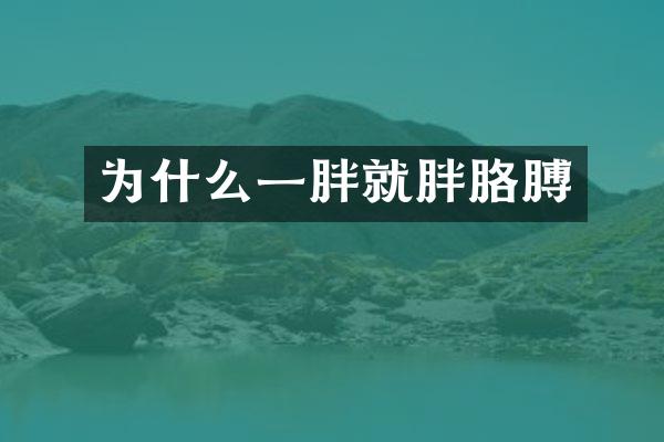 为什么一胖就胖胳膊