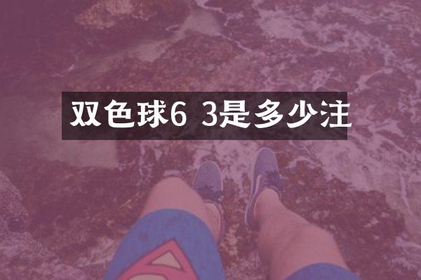 双色球6 3是多少注