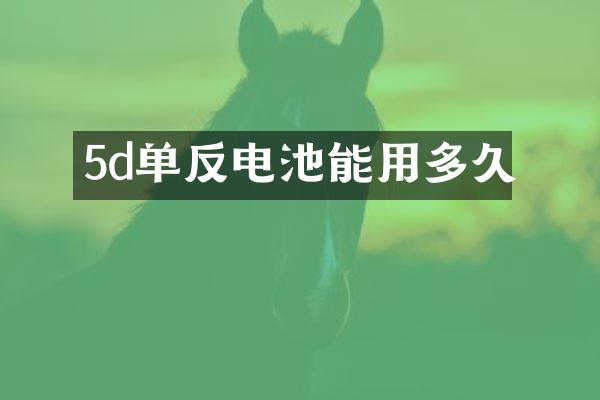 5d单反电池能用多久
