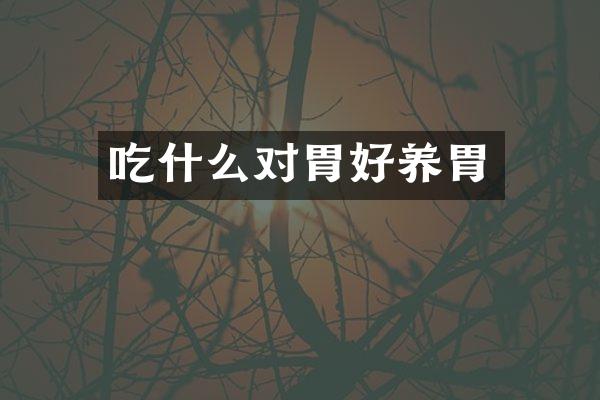 吃什么对胃好养胃