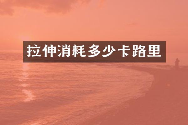 拉伸消耗多少卡路里